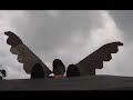 Bird Girl