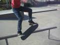 videos de Sarasota Shredding