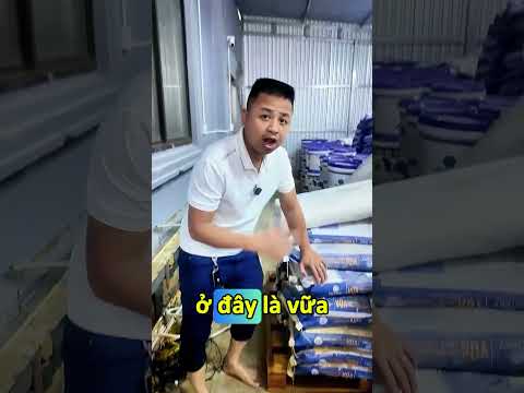 Bão lũ làm ngập kho hàng thì hầu như là hàng hoá mọi thứ sẽ hư hỏng thiệt hại hết.