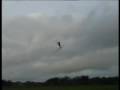 videos de Trex700 - First demo model in New Zealand - June 2008
