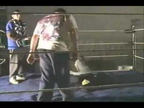bbw fight