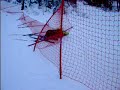 Gajowy na ski