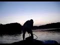 Big Longnose Gar