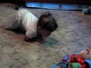 Maya Jane crawling