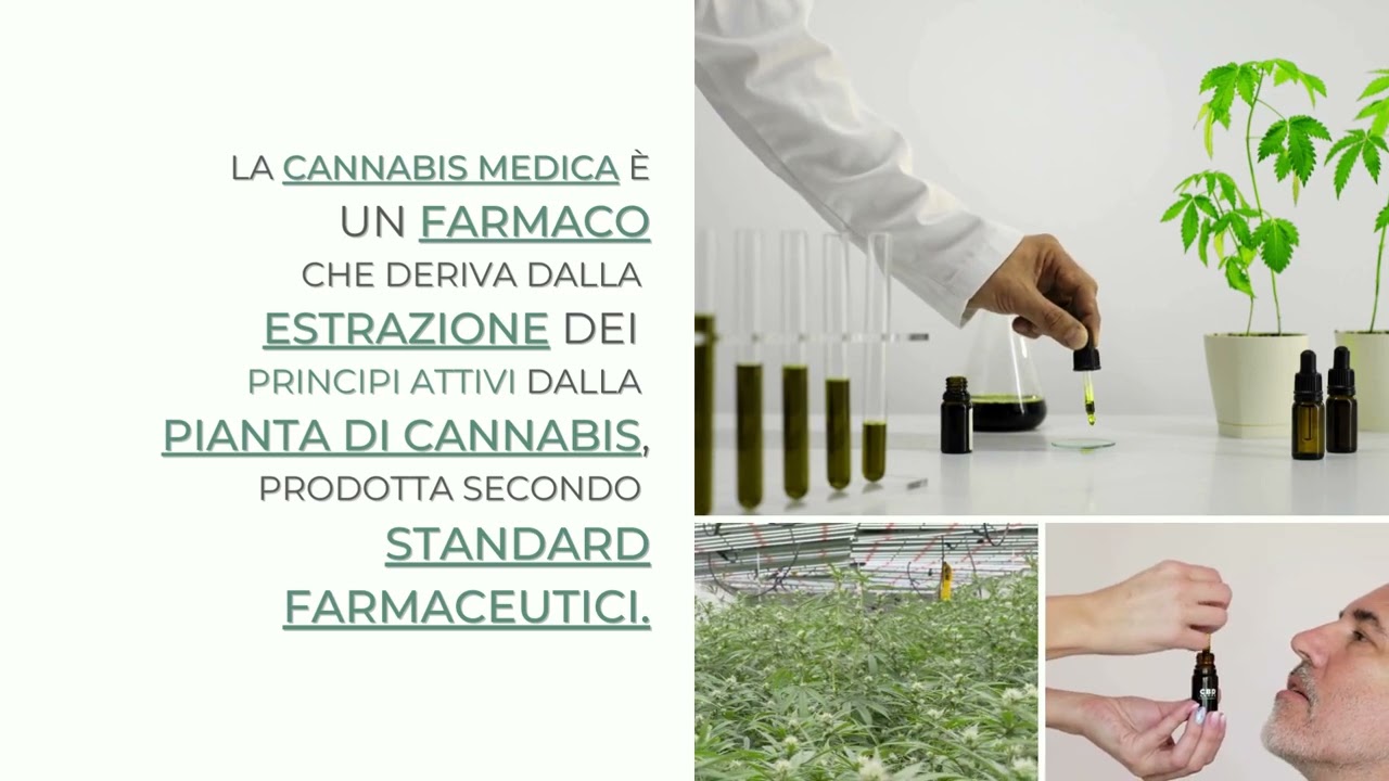 La cannabis medica nella quotidianità