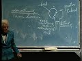 integrative biology 131   lecture 05:  skeletal system