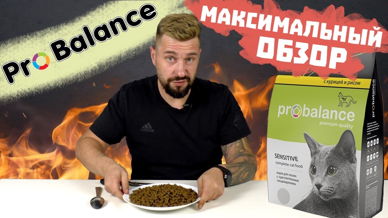 Probalance сухой корм для кошек или нет?