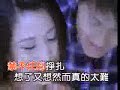 Jeff Chang & Shelly Yu - 错过你错过爱
