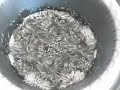 (Cymatics) Sound Part 3 - Glycerin (Cymatics) Sound Part 3 - Glycerin