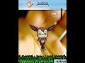 Bubblies (SYMBIAN)