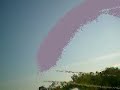eDVR on Yak 55