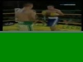 Marcos Rene Maidana vs William Gonzalez: final moment of the fight
