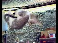 YouTubeサムネイル[Hiuh3cj7lFs] - 2枚目