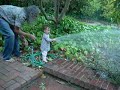 Bella waters the plants