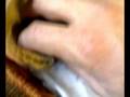 videos de Molly a 10 giorni