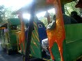EN el PArQUe TEzoZomoc