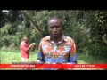 Click to View : CONGOLAIS TELEMA 53 ANS D' INDEPENDANCE DE LA RDC .TEL