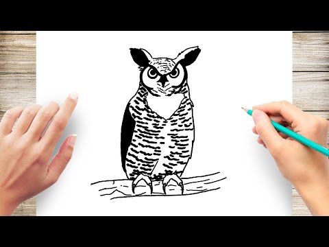 video-linktoworks-How to Draw a Great Horned Owl
