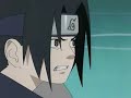 Naruto vs. Sasuke - The Nine Tails Fox and The Avenger