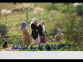 MOUZZES- Palestine Our Land. watana MOUZZES- Palestine Our Land. watana