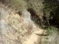 Dan Cook Trail