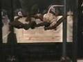 Red-Tail-Boa-Strikes