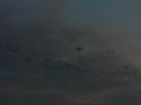 Nebraska crane migration