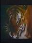 YouTube - TARZAN'S THREE CHALLENGES