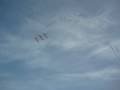 videos de Magic Chinese Kite