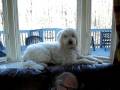 videos de A New Place to Sit