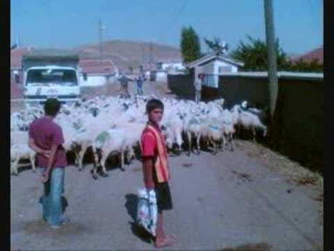 burunagil 2