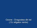 ozone   dragostea din tei  dj aligator remix 