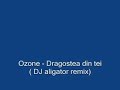 ozone   dragostea din tei  dj aligator remix 