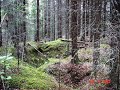 Veikko Ahvenainen.....El�m�� juoksuhaudoissa