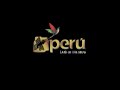 Revive the world, reviven our ancestros. Cusco - PERU