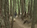 Fernie Alpine Resort - Honeybee