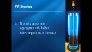 WW Ultravibes VGE