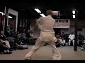 Kung-fu Master Tang Wei Zhong ??? at taiji club of LA Kung-fu Master Tang Wei Zhong ??? at taiji club of LA