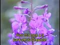 La Creacion