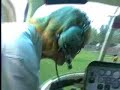 Bell 206 Jet Ranger start up and take-off