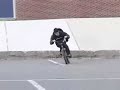 nigel/osso animal ad