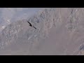 Peru Trailer