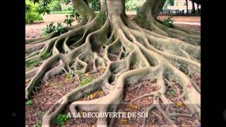 Développement spirituel : Technique d'ancrage (vidéo)