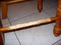 DOL forums destructo-dogs!