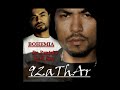 New Bohemia Album - April Release - 2009 DA PUNJABI RAP STAR by BOHEMIA