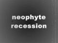 Neophyte - Recession