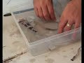 Art Techniques with Matisse Derivan - Photo Transfers