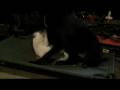 videos de Clare & Ryu 12-4-08