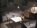 Alarm-Stopping Dog