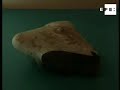 exposición retrata la europa del final de la prehistoria